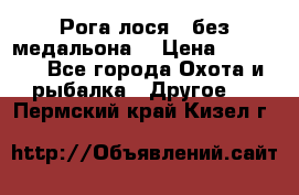 Рога лося , без медальона. › Цена ­ 15 000 - Все города Охота и рыбалка » Другое   . Пермский край,Кизел г.